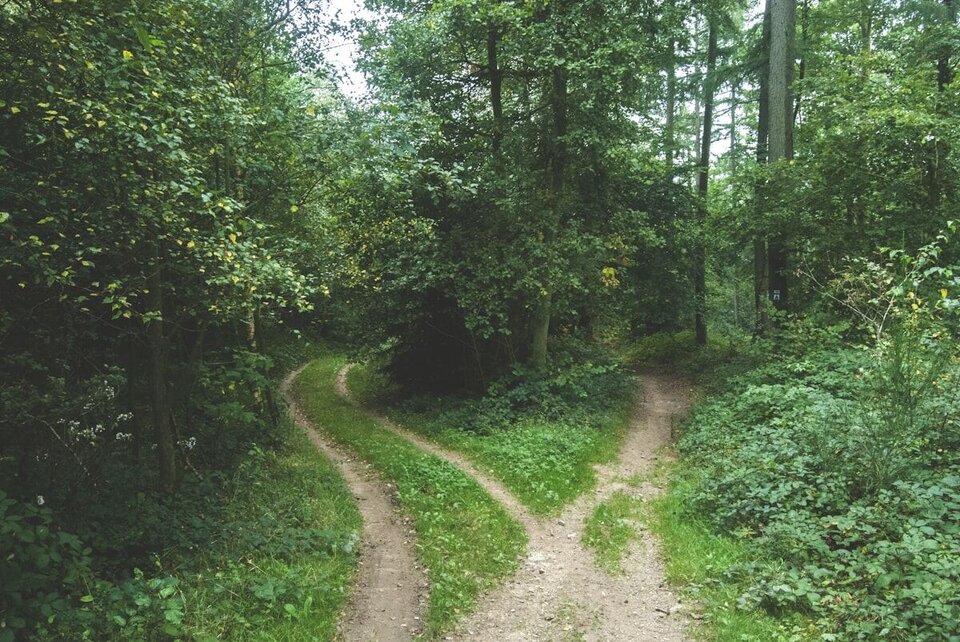 Phone psychic guidance for big life decisions