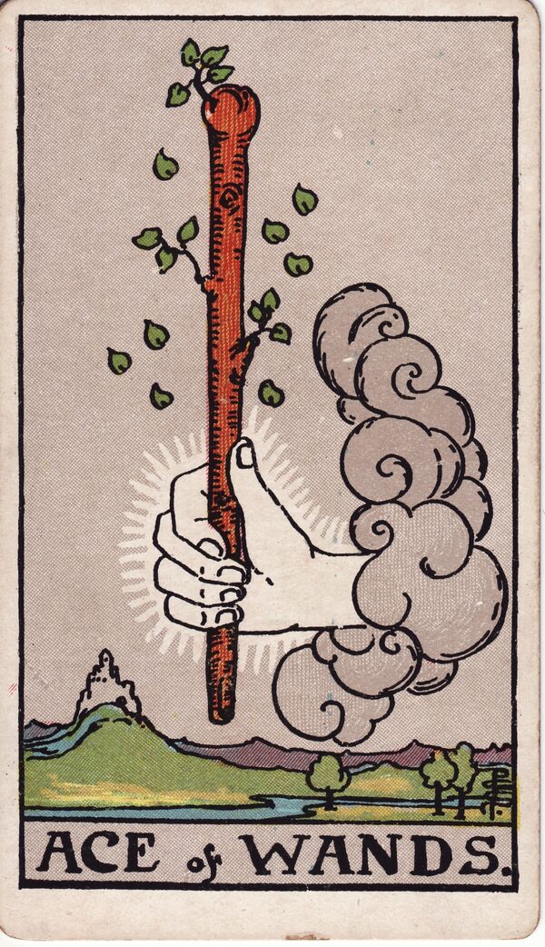 Suit of Wands - Ace of Wands tarot card