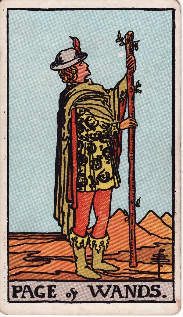 Page of Wands - Rider–Waite–Smith tarot card
