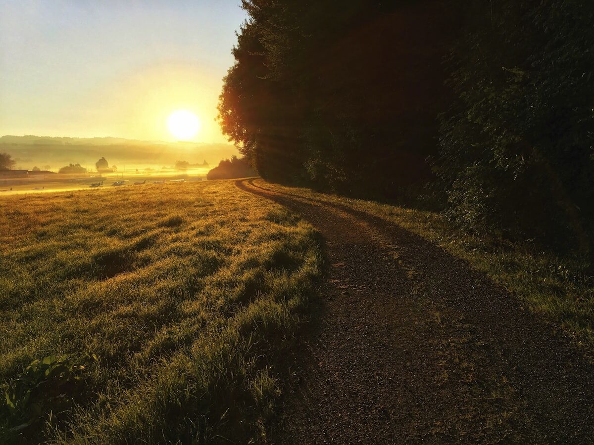 Psychic life coaching by phone - an intuitive life coach available 24/7