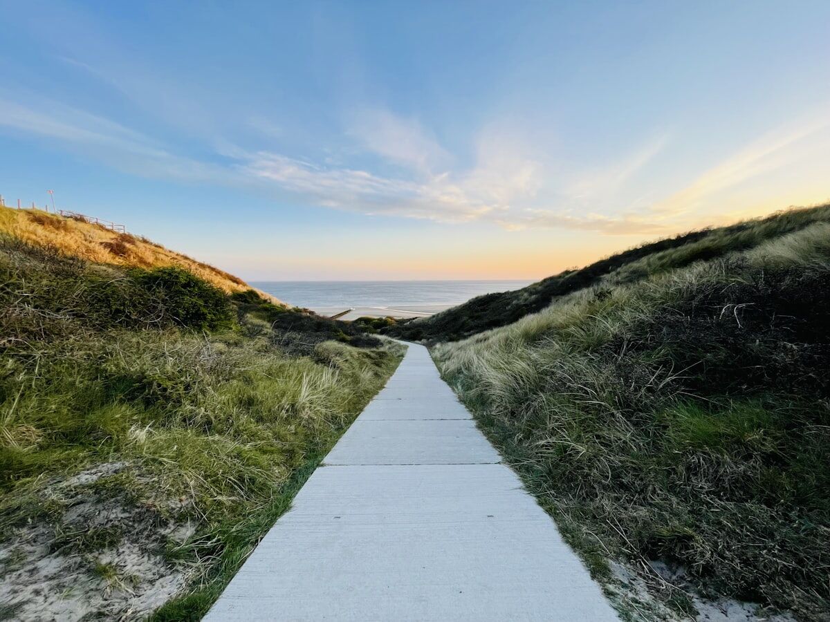 Intuitive life coaching call - gaining clarity and direction